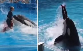 Quién es Jessica Radcliffe