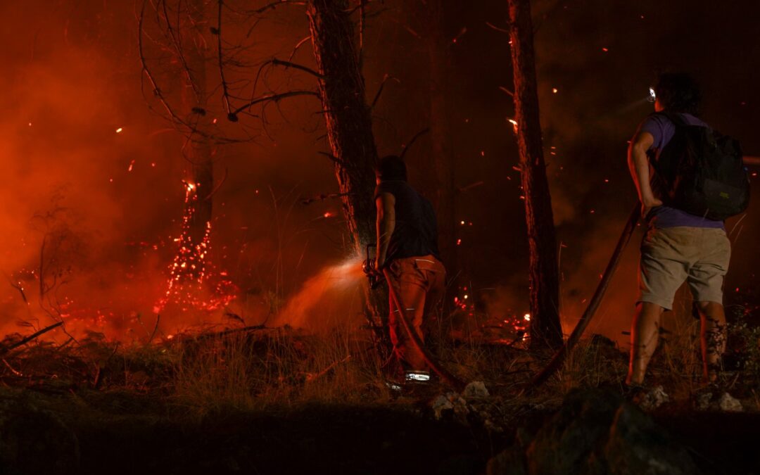 ¿Quién paga si un incendio forestal llega hasta mi vivienda?